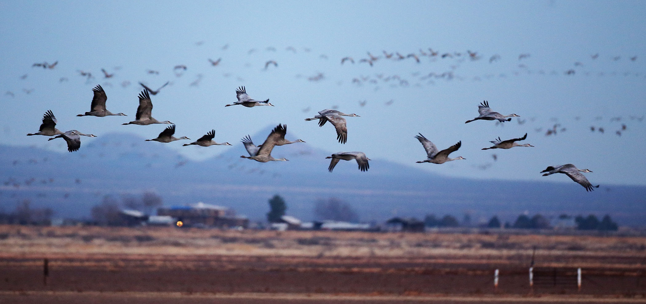 2018 Wings over Willcox